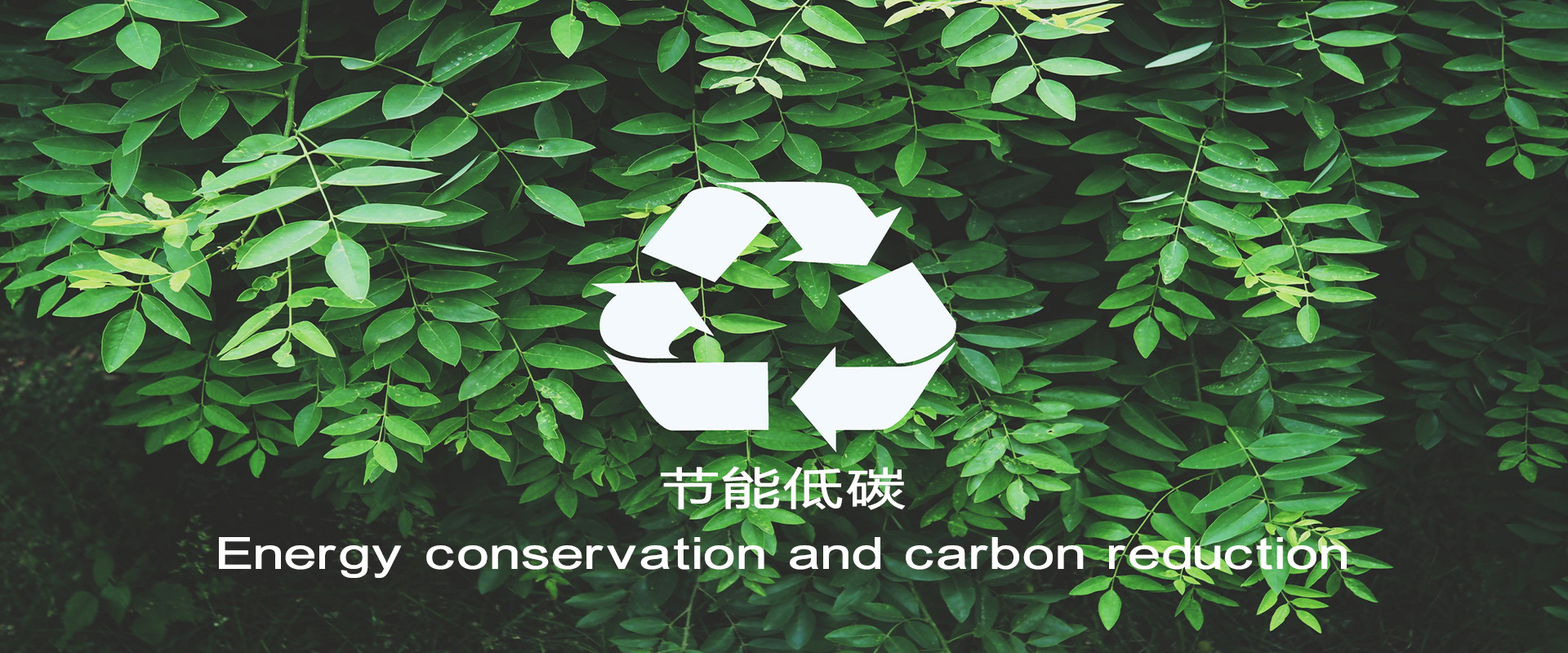 DS视讯·(中国)官方网站