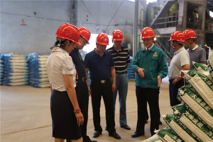 耿克明、高建嵩到大维肥业等企业调研