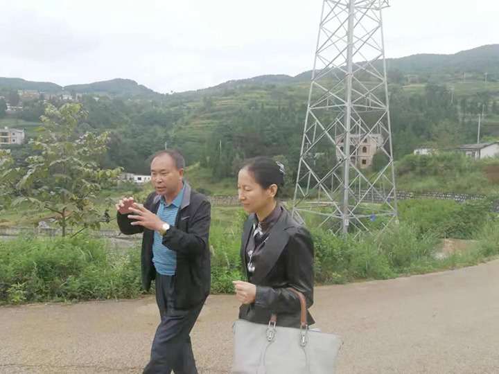 集团党委委员、财务总监莫晓丹一行到羊场口煤业温顺源煤矿开展煤矿项目建设事情专项调研