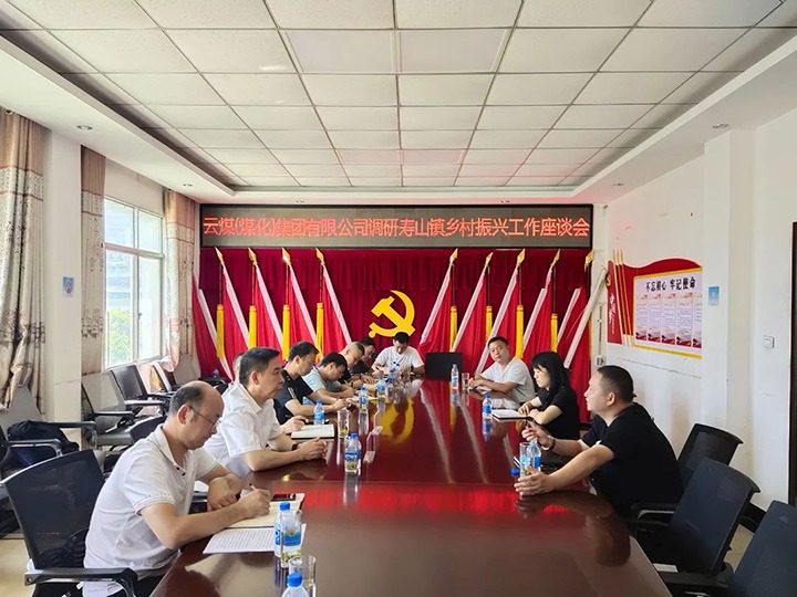 集团党委副书记、工会主席王鑫一行深入集团墟落振兴挂钩帮扶点寿山镇调研