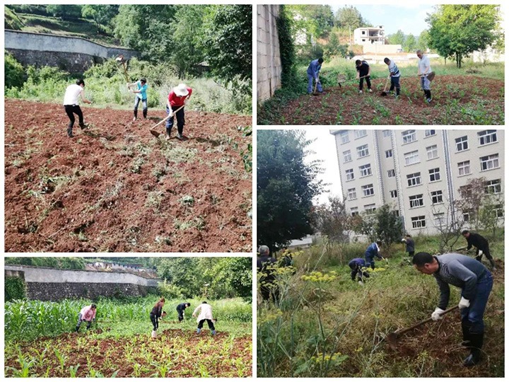 【主题宣传周】坚持做事创业 破解开展难题——羊场口煤业公司起劲开展生爆发涯自救行动