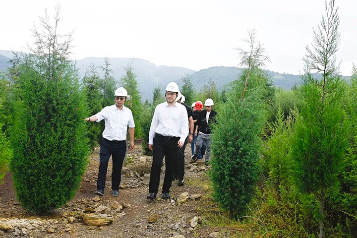 自然资源部矿产资源；；ぜ嗍铀臼褂眉嗍哟Ω贝Τに镉莱恍械较确婷阂档餮新躺笊浇ㄉ枋虑