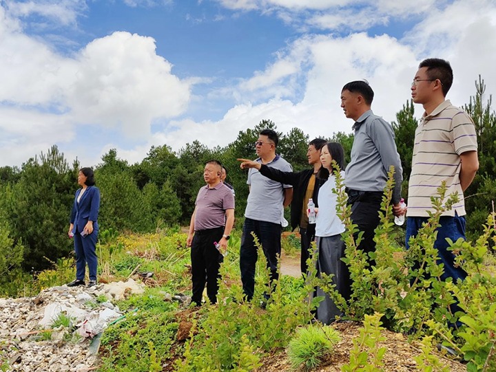 【主题教育】云煤（尊龙Z6官方网站）集团专职外部董事寸延峰，集团党委委员、、财务总监莫晓丹到马厂煤矿、、汉家厂煤矿、、竹麻地煤矿开展主题教育调研