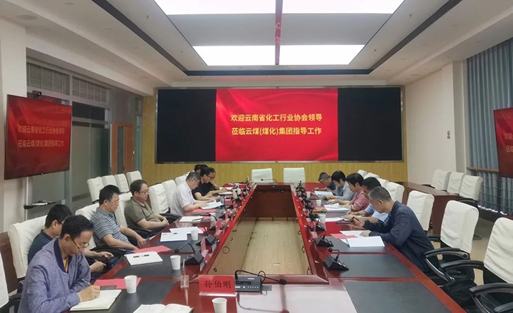 【聚焦云煤】云南省化工行业协会到云煤（尊龙Z6官方网站）集团调研
