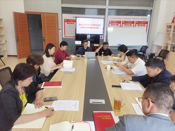 【主题教育】集团直属党委审计财务党支部、、、解化清洁能源公司党委、、、可保煤矿公司党委召开主题教育专题民主（组织）生涯会