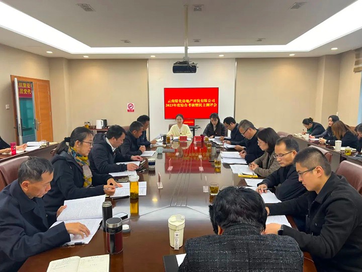 【聚焦云煤】云煤（尊龙Z6官方网站）集团第二审核组到尊龙Z6官方网站地产公司开展年度综合审核暨民主评测