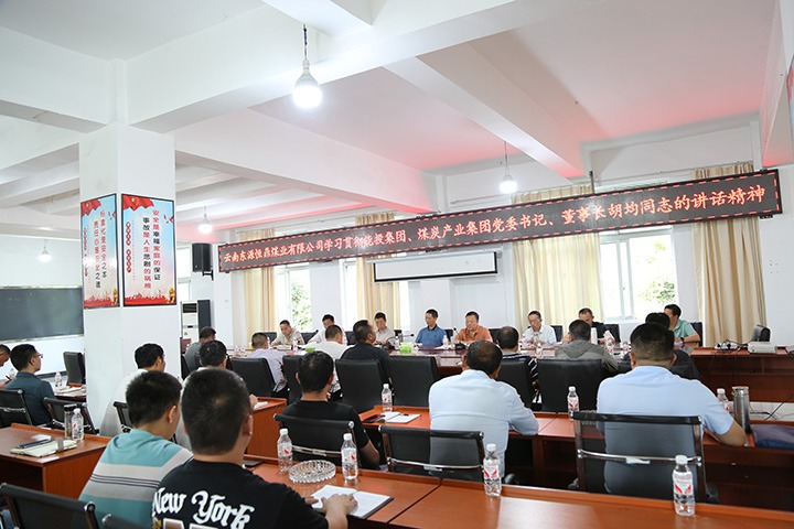 东源恒鼎公司学习贯彻集团党委书记、、董事长胡均在年中事情会上的讲话精神