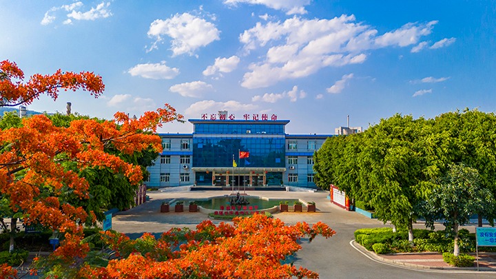 红色基由于引领，磨练战场写华章  —— 汗水与智慧交织的磨练历程