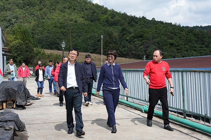 云南省国资委党委委员、、、副主任夏丽坤一行到云煤集团所属恩洪煤业公司开展现场督导调研