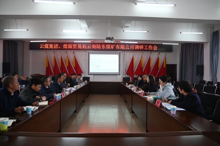 云煤集团党委委员、财务总监莫晓丹一行到陆东煤矿调研指导事情