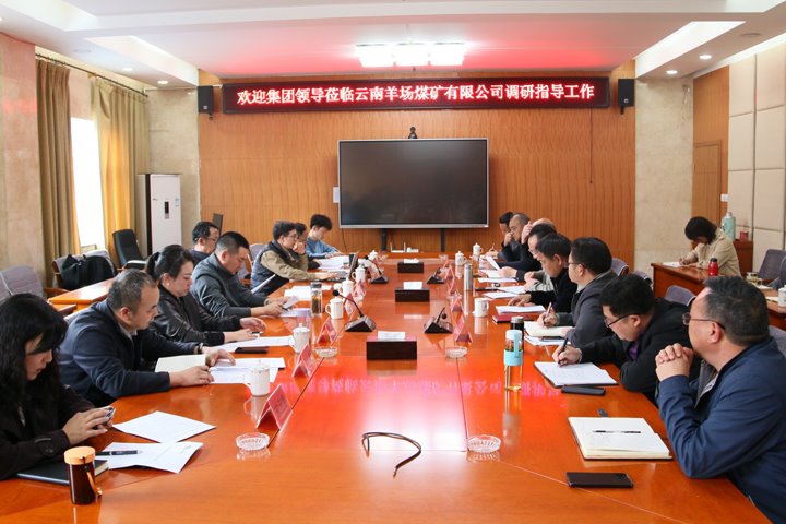 云煤集团党委委员、、、副总司理缪和星到云南羊场煤矿有限公司调研