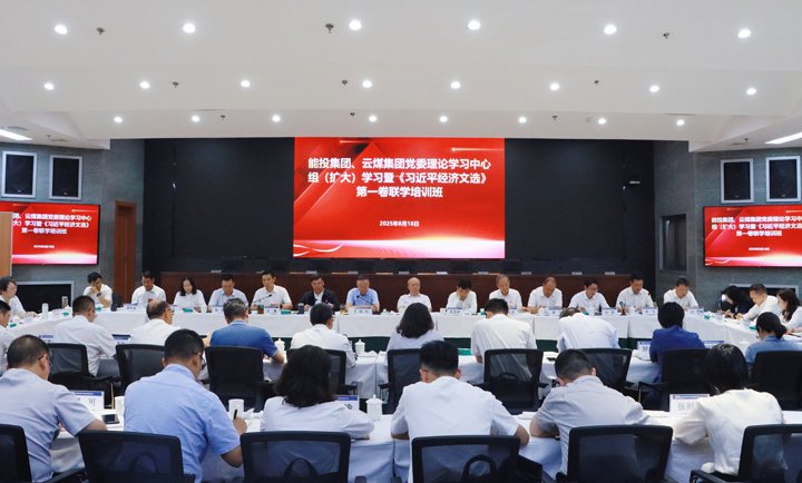 能投集团、云煤集团举行党委理论学习中心组学习暨《习近平经济文选》第一卷联学培训班